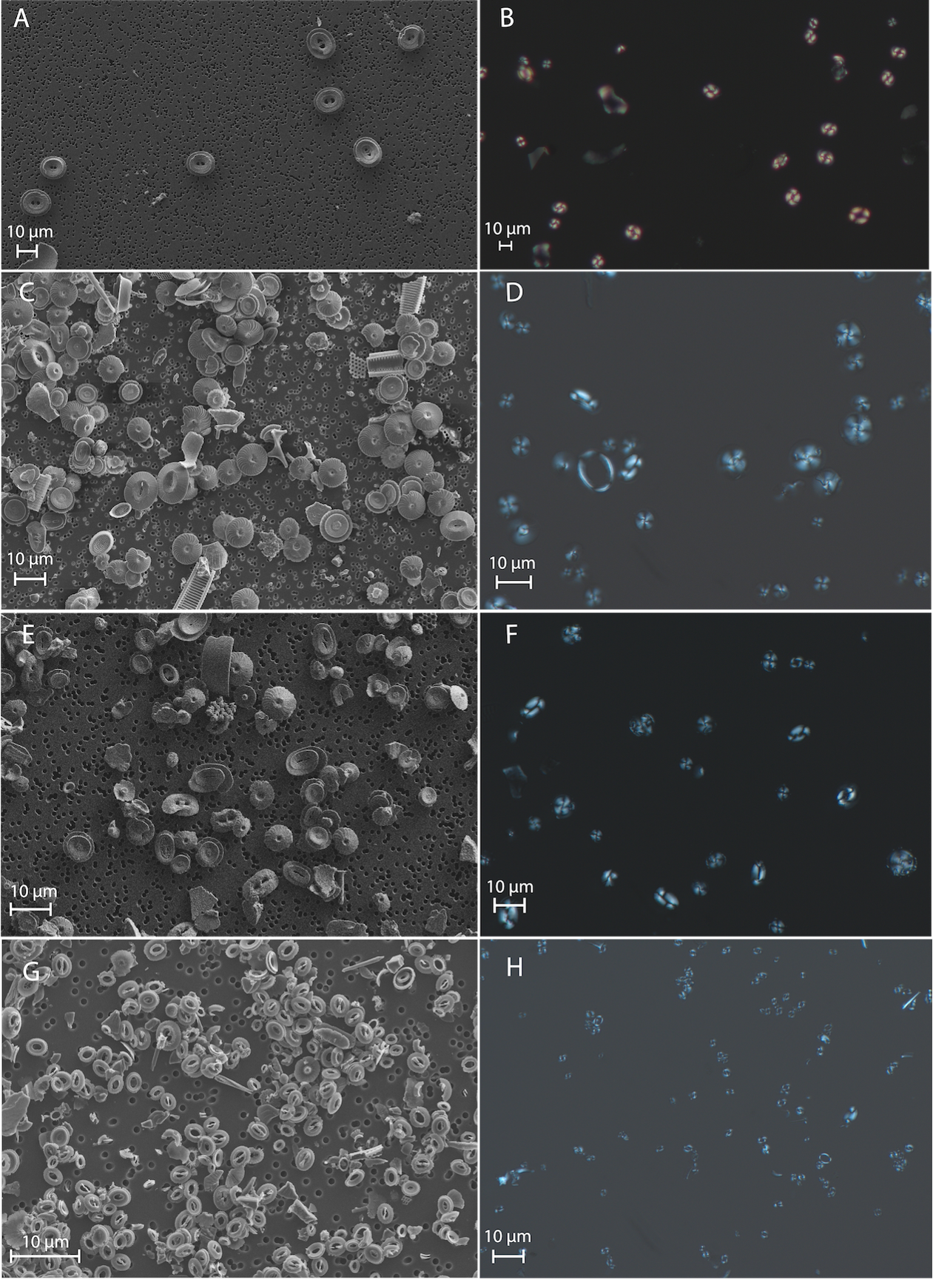example image